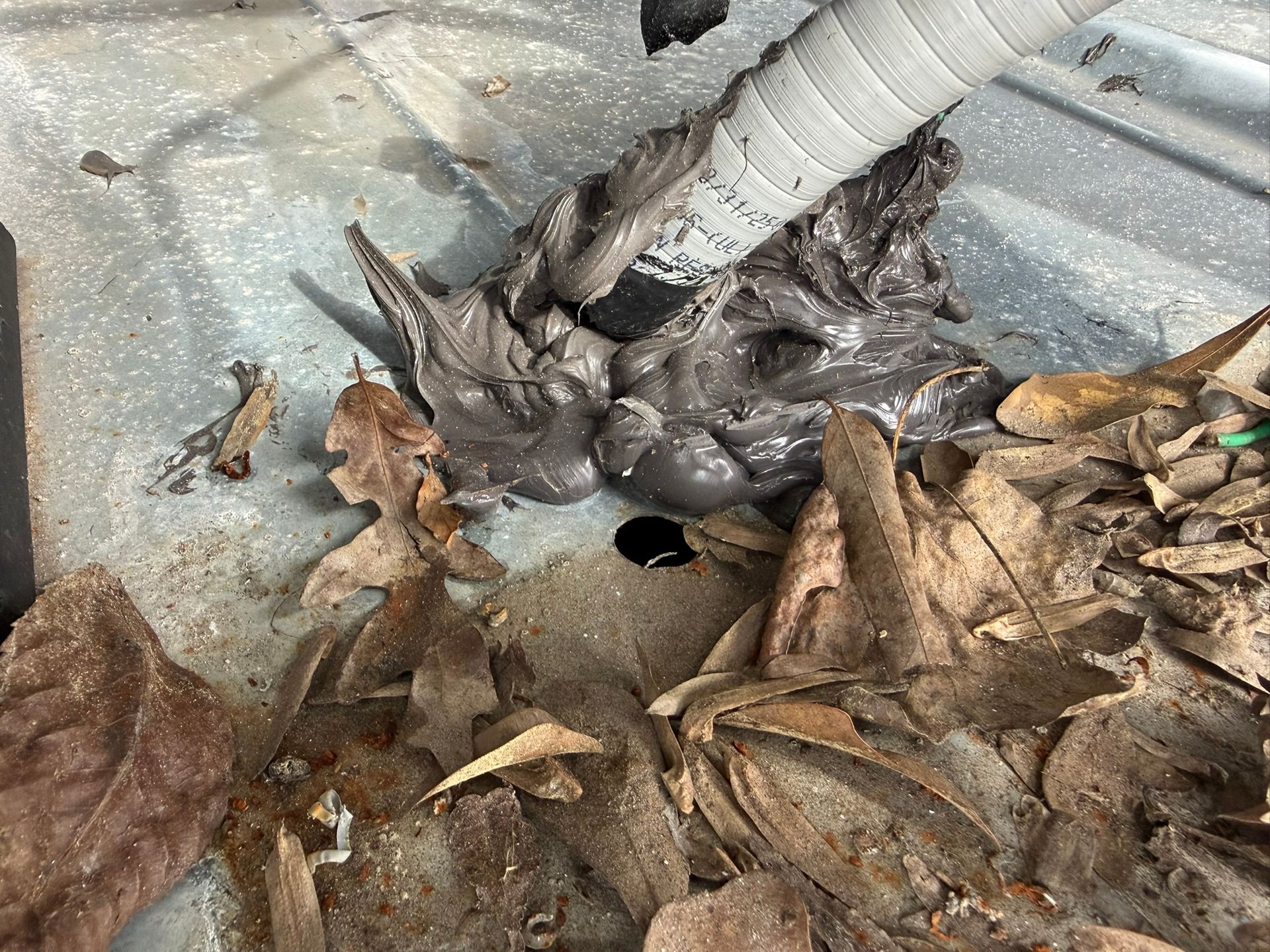 Wilted brown leaves and a gray hose on wet ground with a small dark hole in the center
