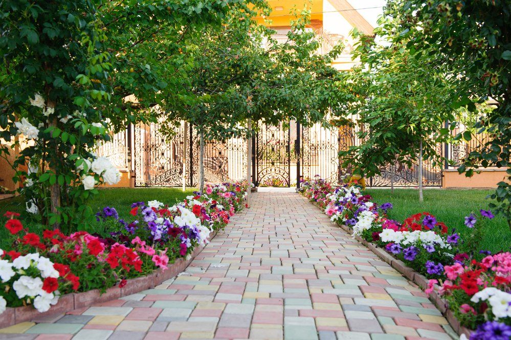 beautiful commercial landscape