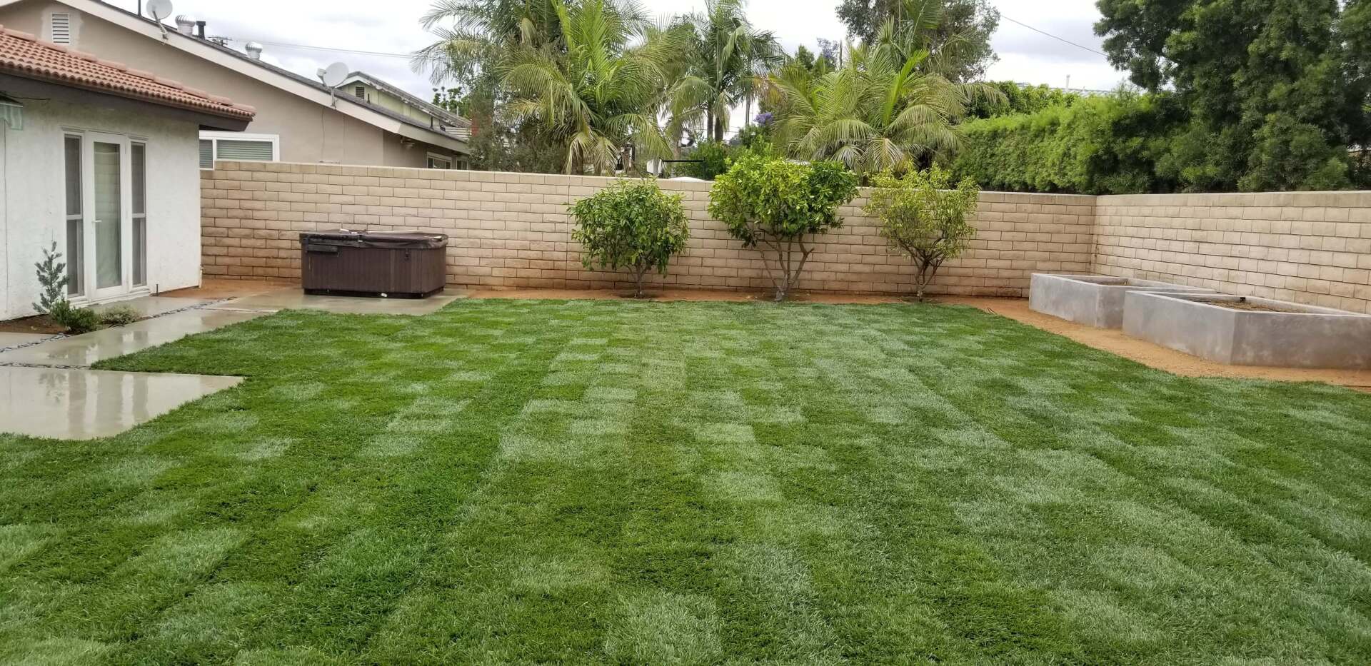 freshly trimmed lawn in Orange County, CA