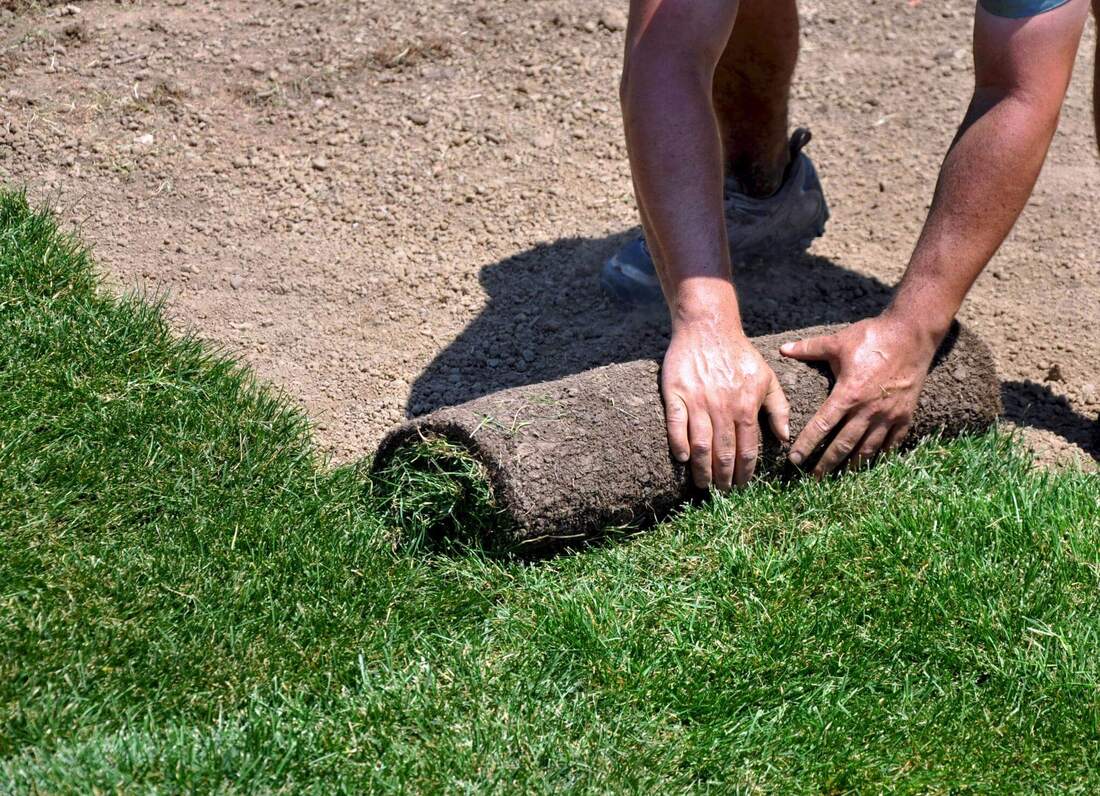man installing sod in Orange County, CA