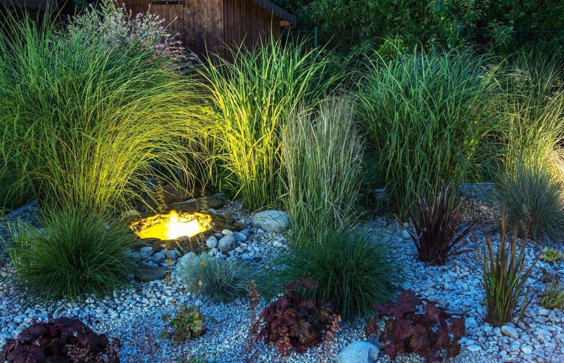 outdoor lighting by shrubs in Orange County, CA