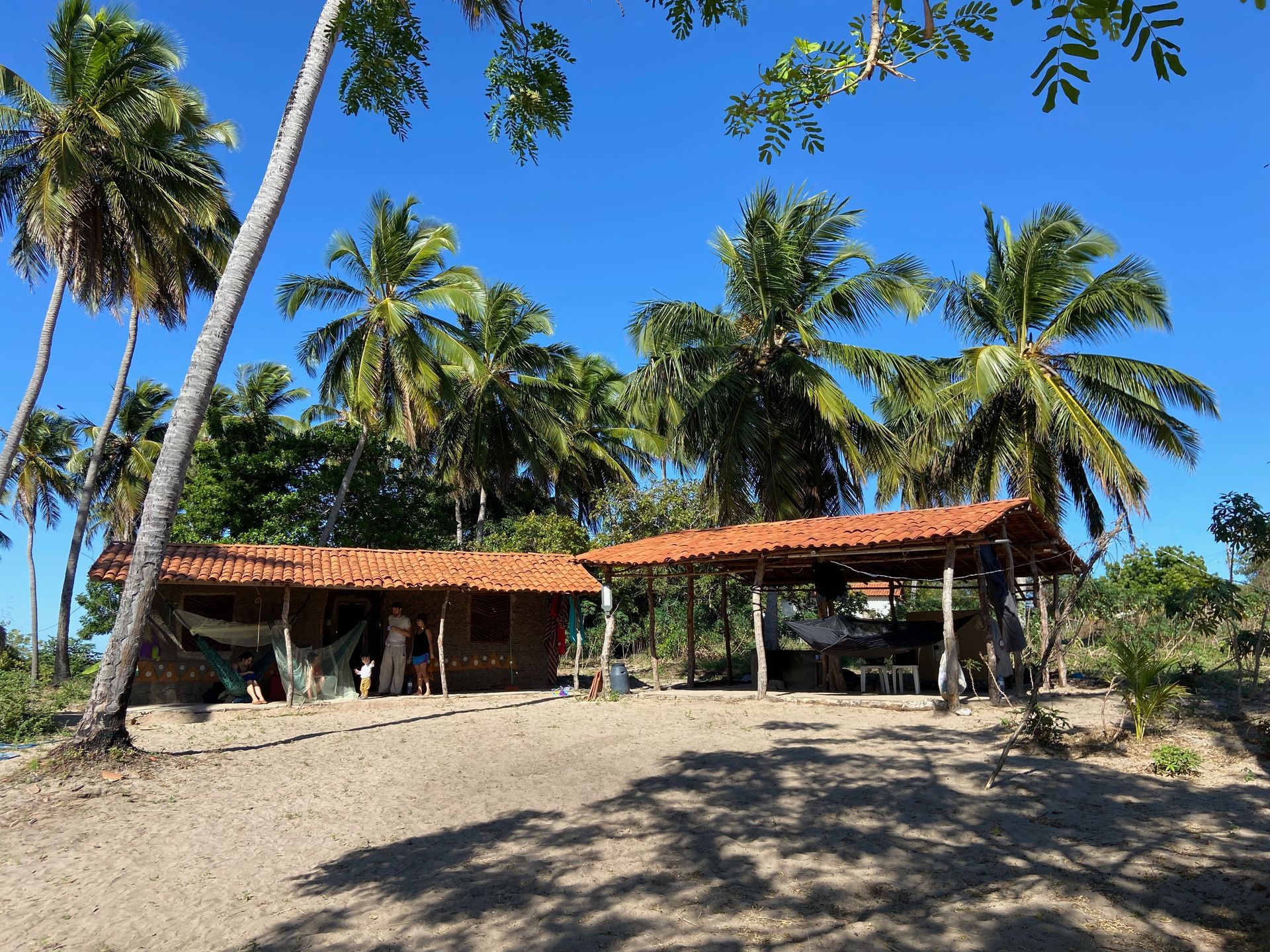 Two rustic buildings with red-tiled roofs under palm trees on a sunny day.