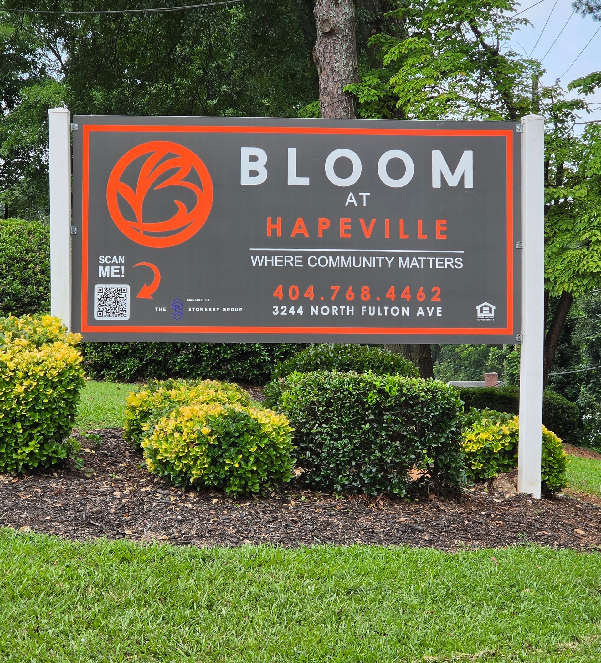 Bloom at HAPEVILLE