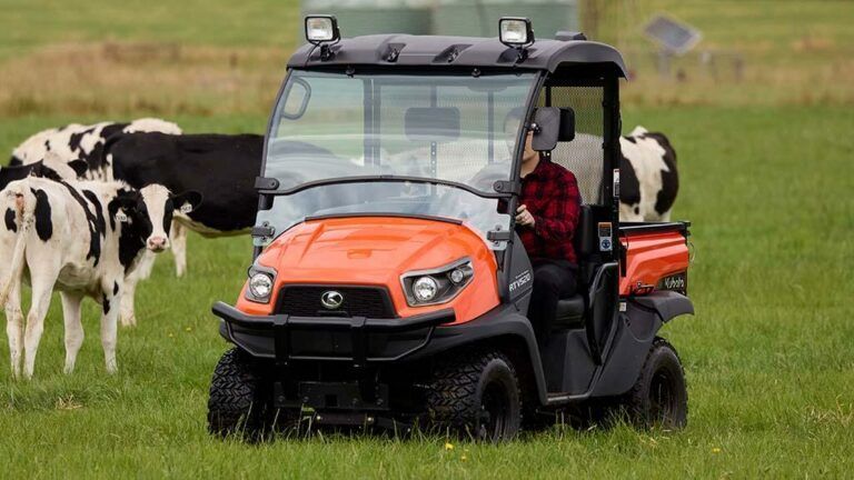 Orange ATV in a grassy field with black-and-white cows nearby and a person in a red plaid shirt — Casali's in Mareeba, QLD