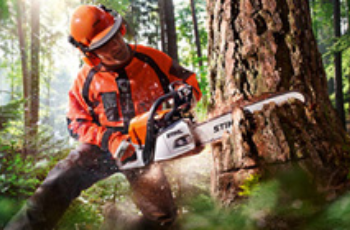 Logger in Orange Safety Gear Cutting a Tree Trunk With a Chainsaw in a Forest — Casali's in Mareeba, QLD