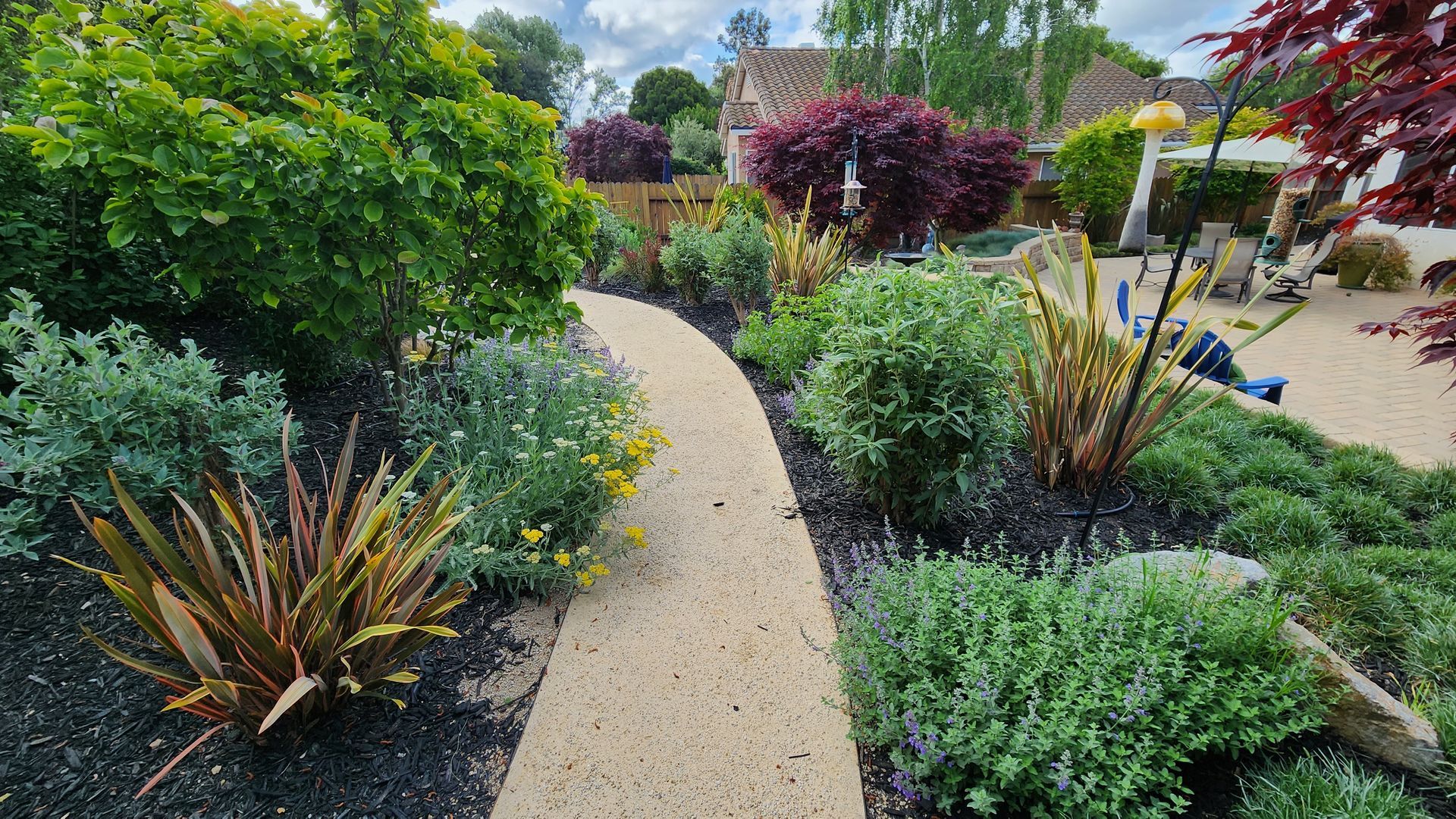 Curved gravel garden path bordered by lush green and purple shrubs and ornamental grasses