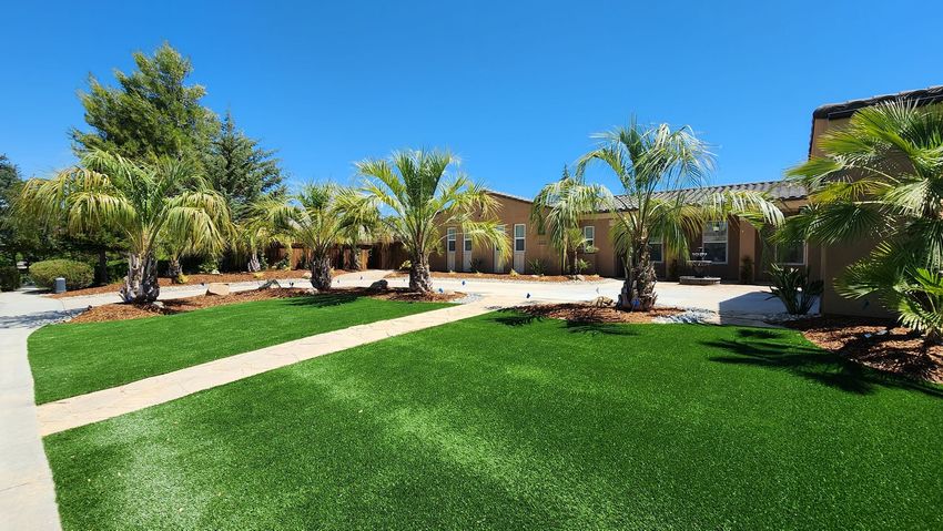 Dry landscaped park with shrubs, trees, and a blue sky above a grassy field
