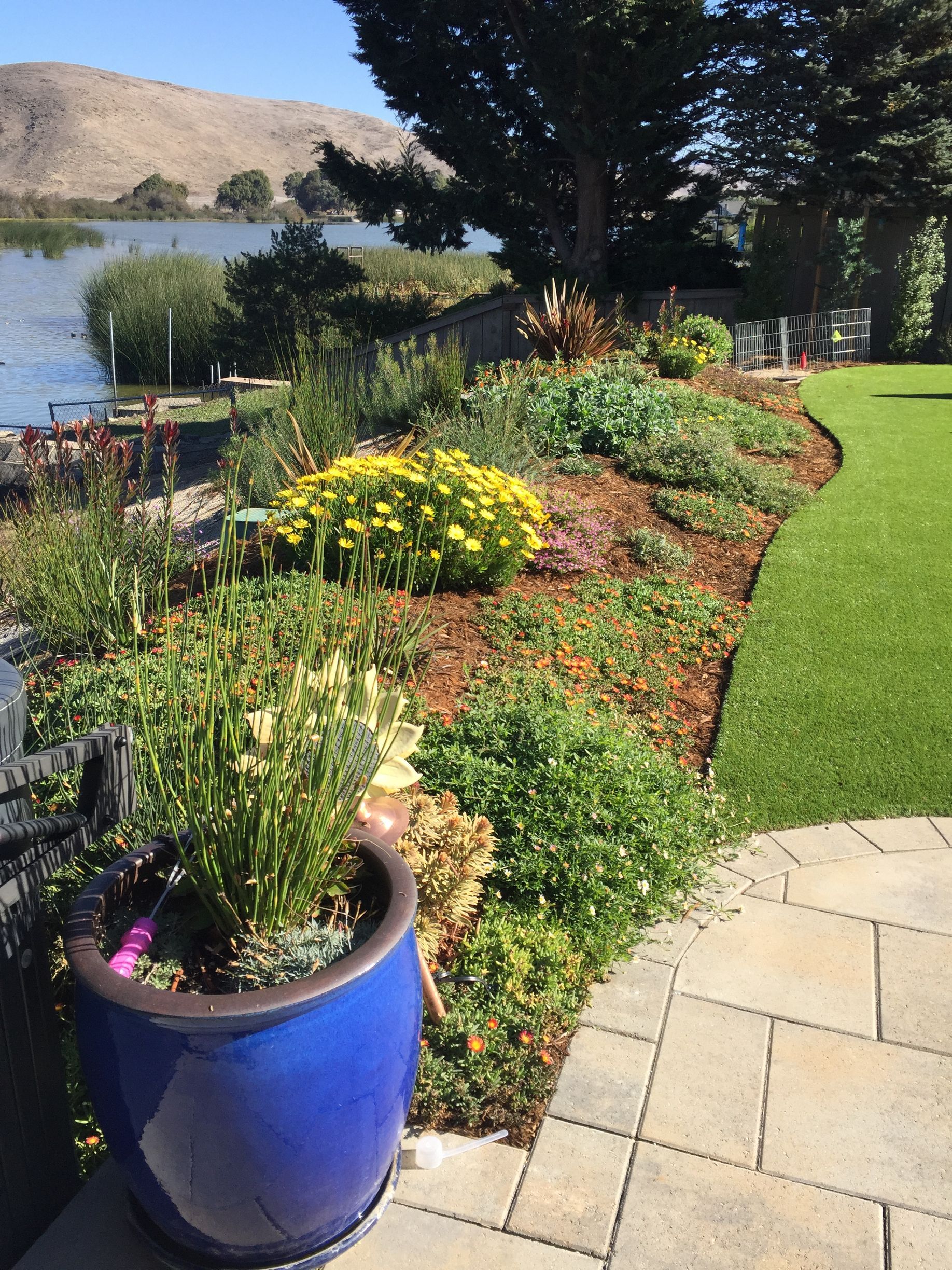 Landscaped lakeside garden with colorful flowers, a blue pot, and a paved path beside green lawn