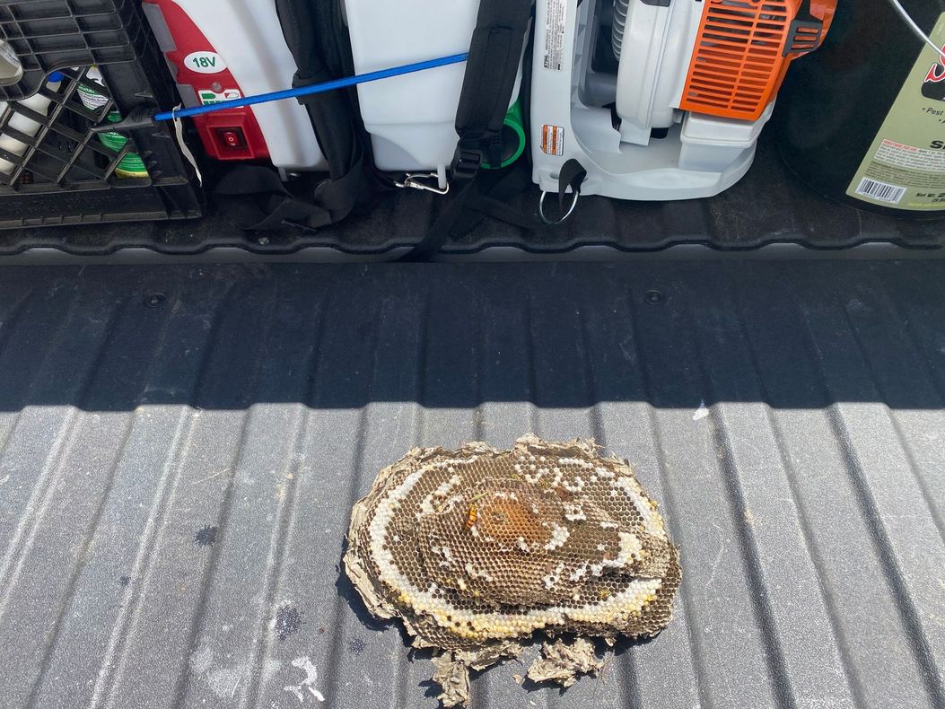 A piece of wood is sitting in the back of a truck.