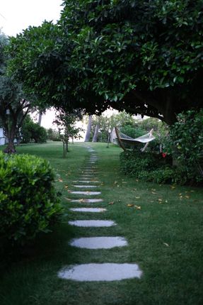 A path in the grass leading to a hammock under a tree
