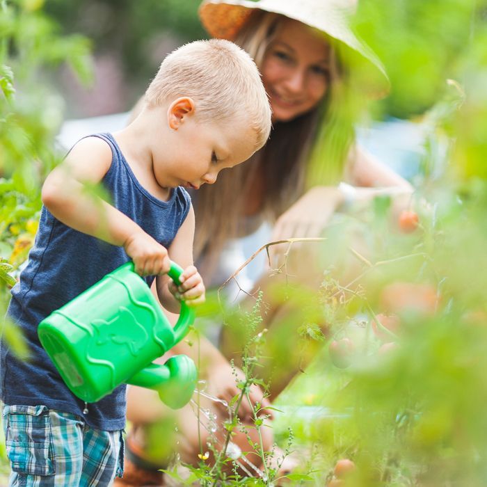 Cute Little Boy in the Garden — East Perth, WA — It Takes A Village Family Day Care Service Cute Little Boy in the Garden — East Perth, WA — It Takes A Village Family Day Care Service