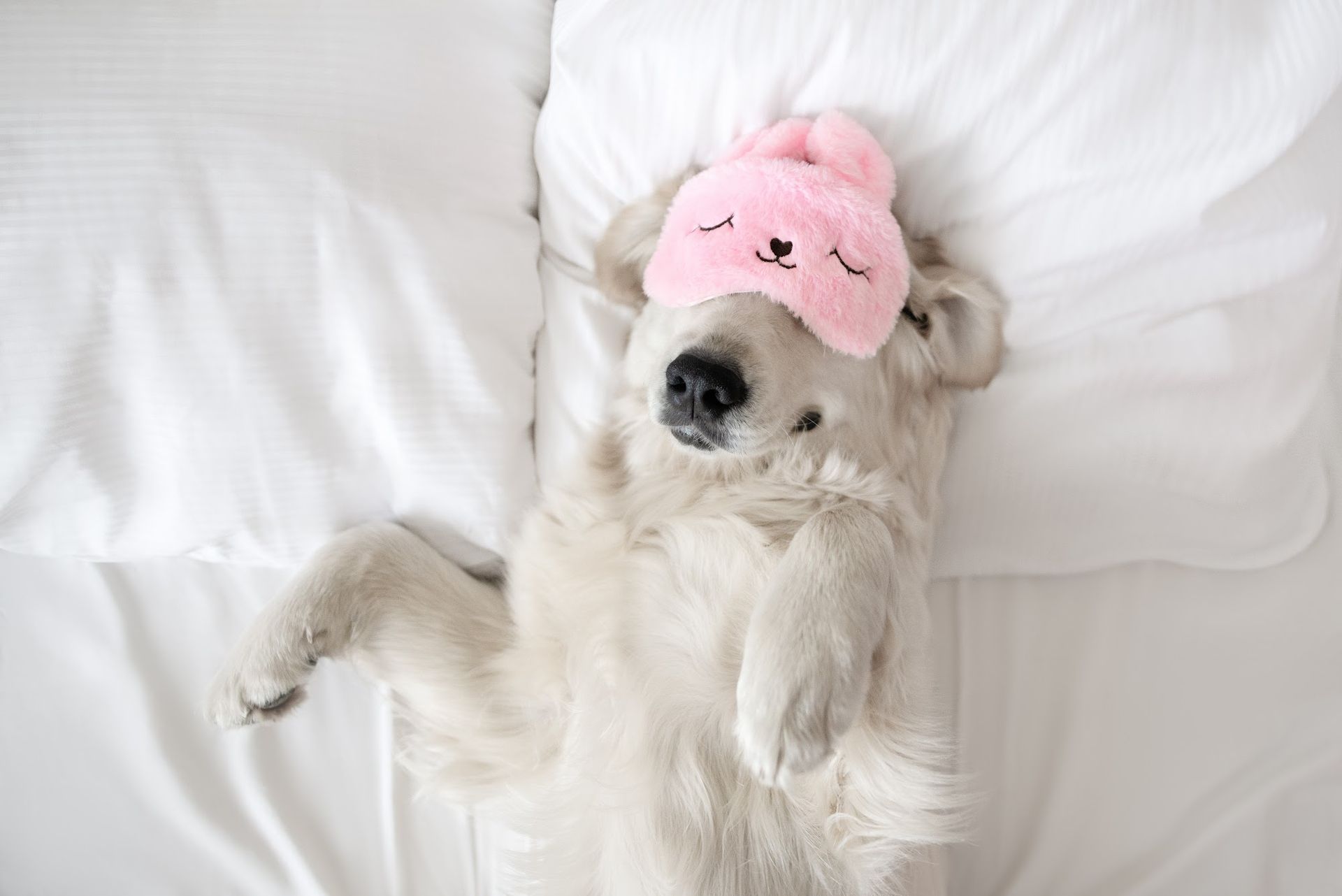 Resting and taking a nap