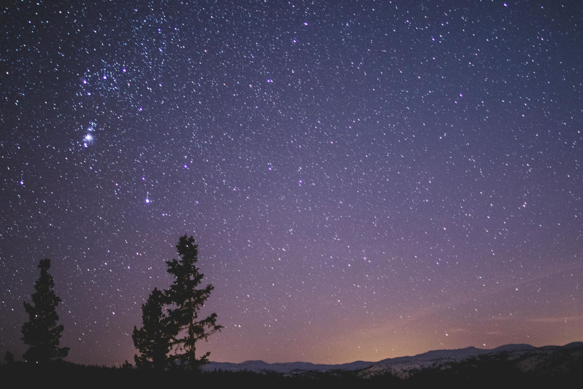 Starry night sky over Sedona with trees in the foreground near Southwest Inn Sedona