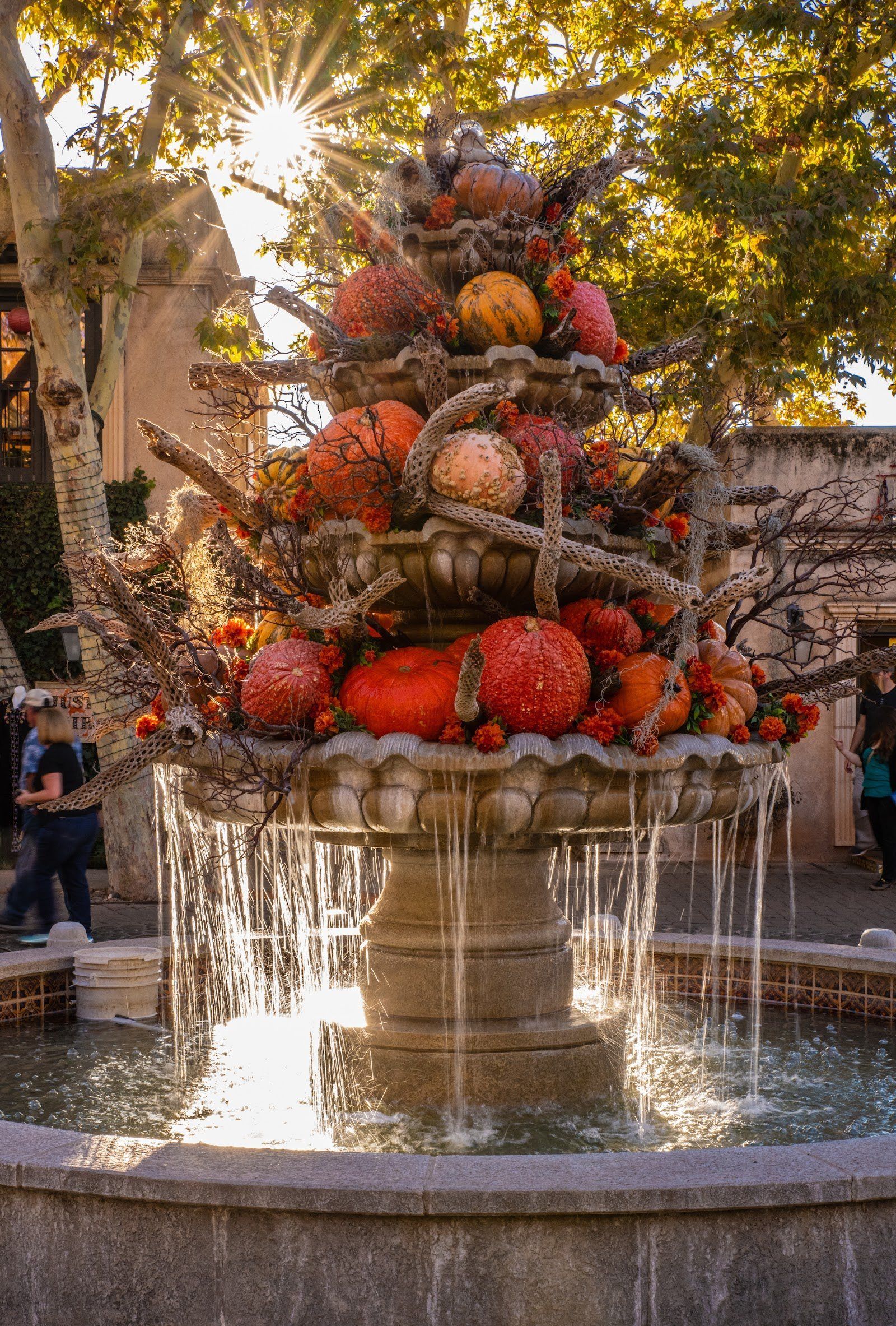 A fountain decorated with pumpkins and water flowing into a pool, surrounded by trees and people walking by.