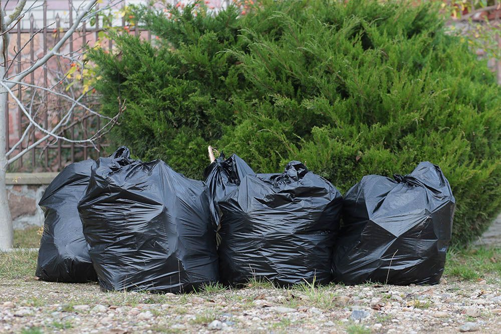 A row of black garbage bags are sitting on the ground in front of a bush.