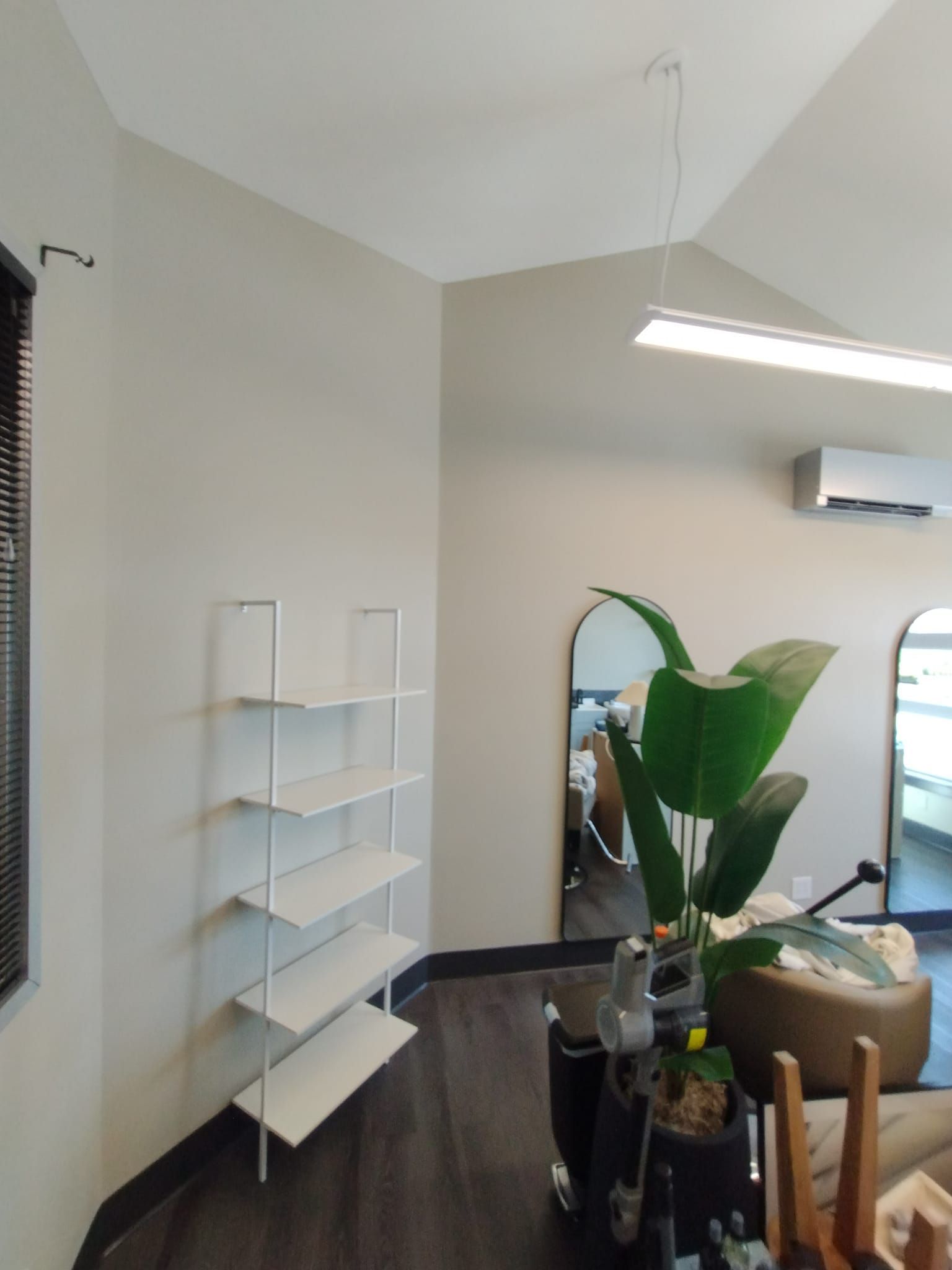 A living room with a plant and a mirror