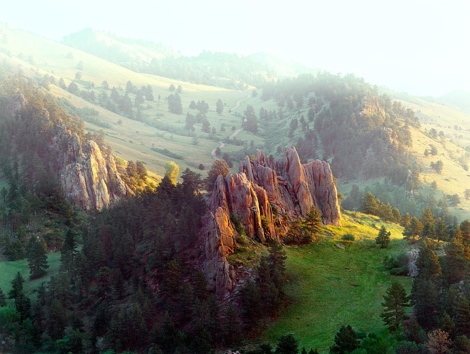 Environment