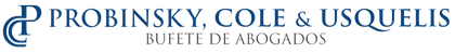 Cascade Injury Law logo with mountain icon. Blue, teal and white colors.