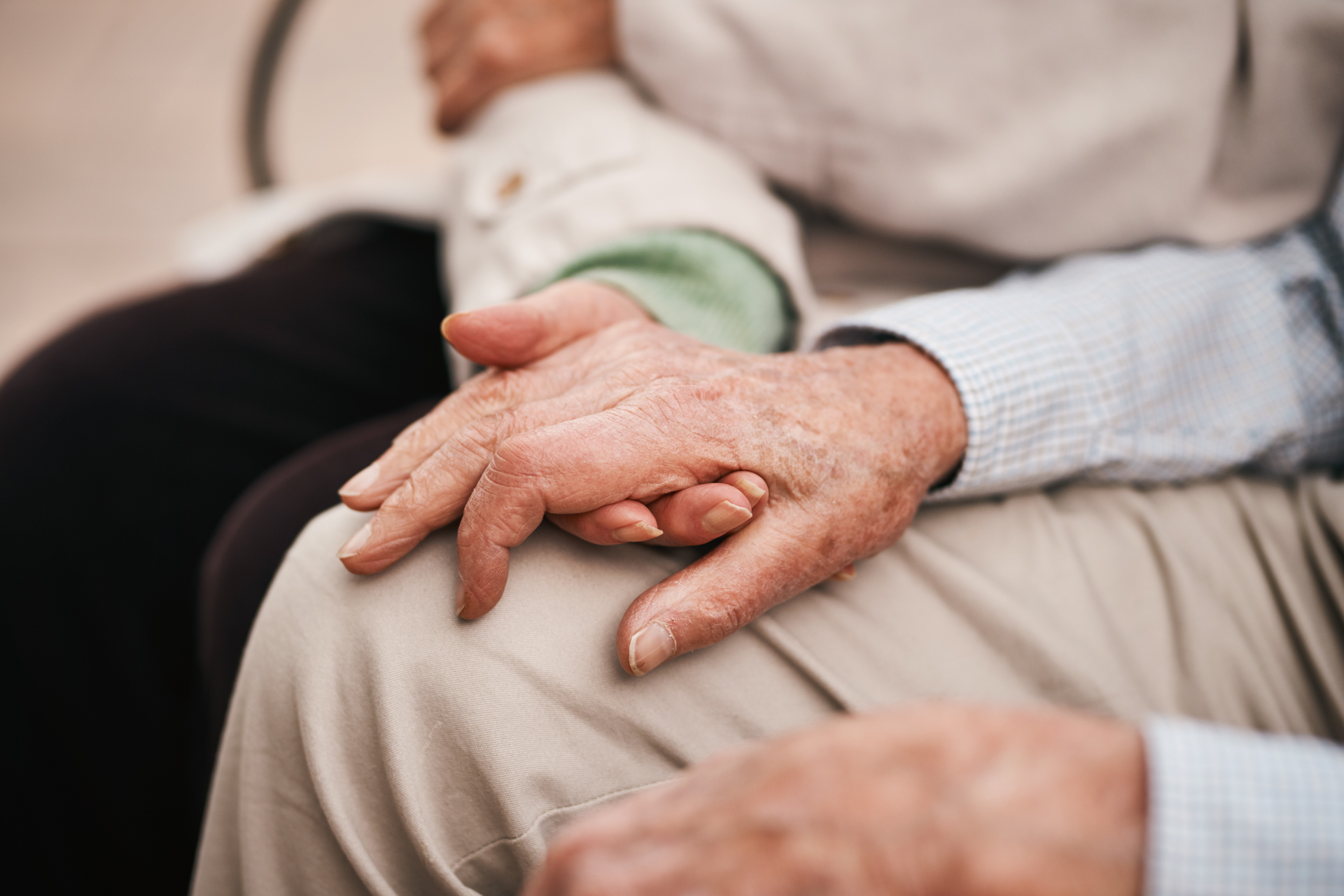 Elderly couple smiles while looking at a laptop on a couch. Woman has arm around man.