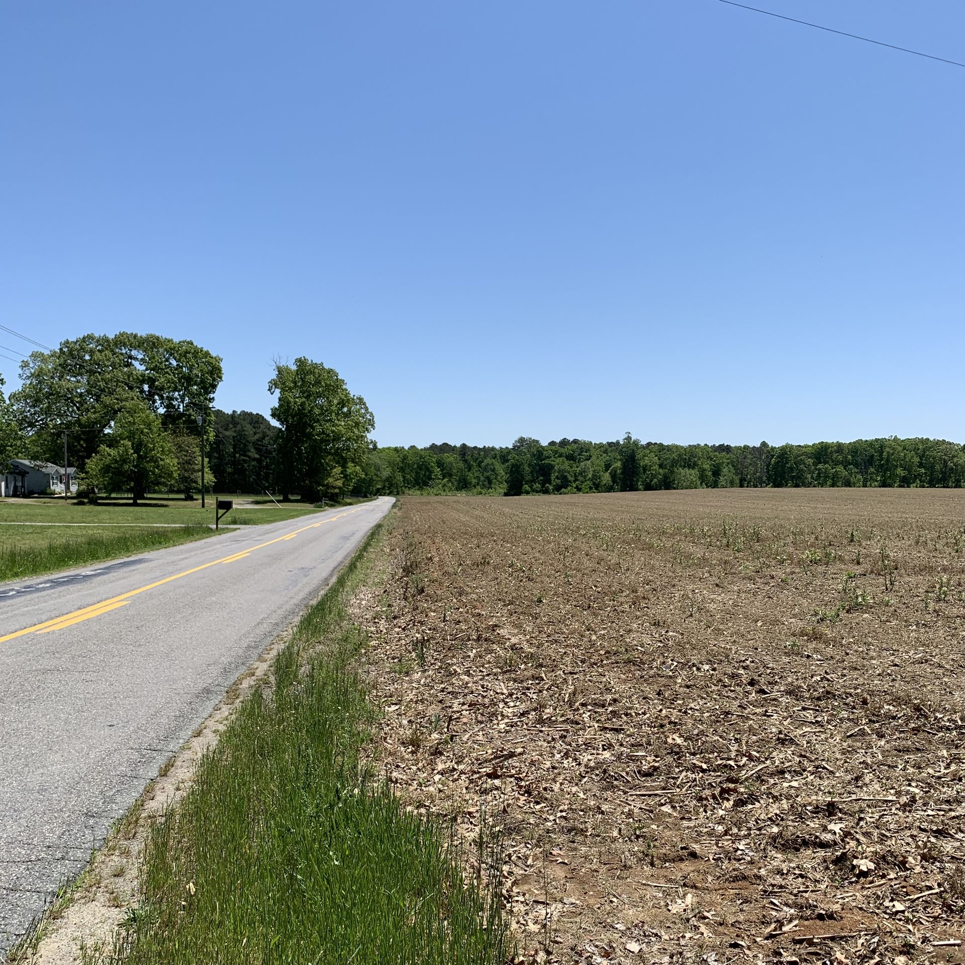 A road next to a harvested field under a blue sky. Trees line the horizon.