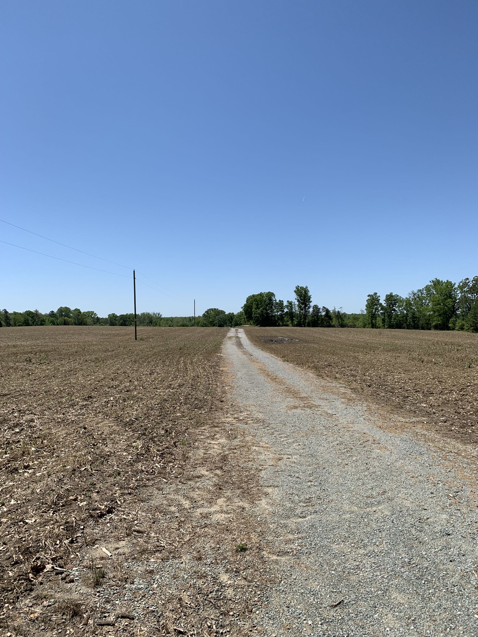 Gravel path through a plowed field, under a clear blue sky, leading to trees and a tall structure.