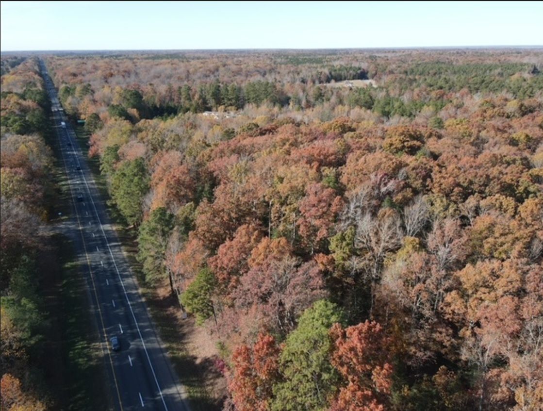 Road through a forest with fall foliage; trees with red, orange, and green leaves.