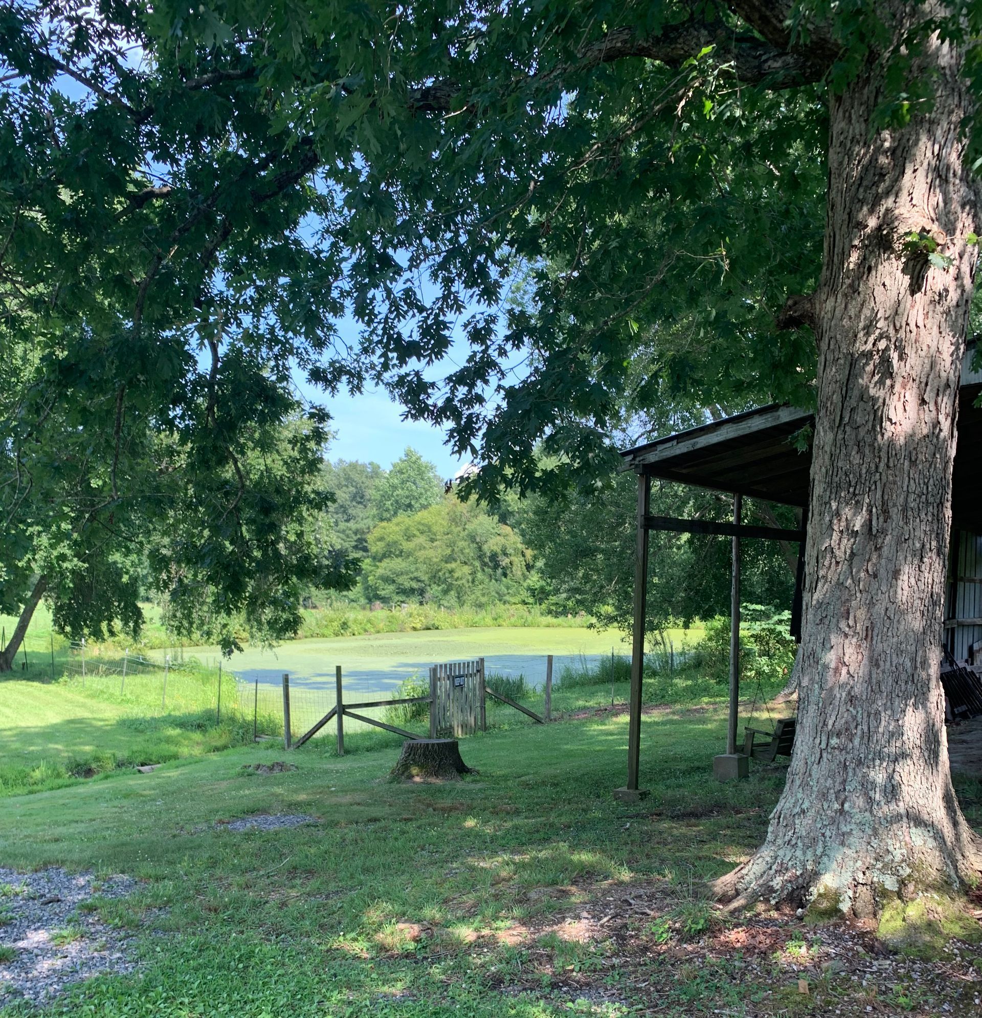 Lush green scenery with pond, trees, and a small covered structure. Overcast sky.