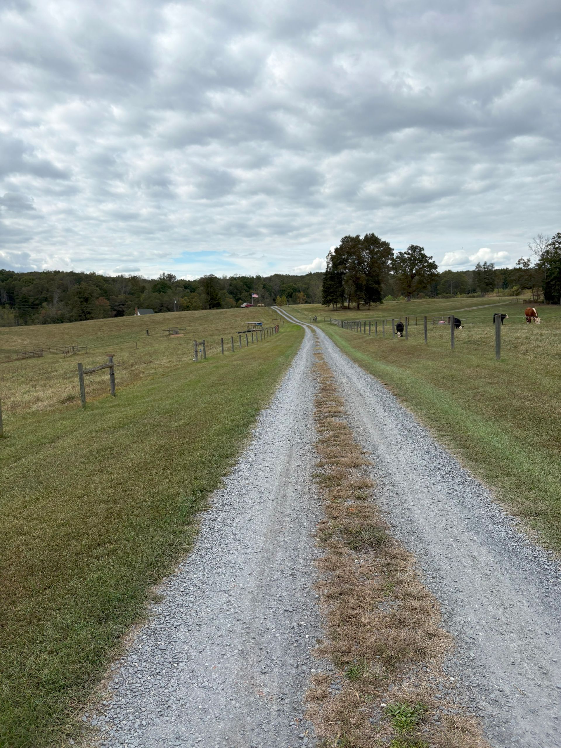 Gravel driveway through a grassy field under a cloudy sky. Mailboxes line the right side.