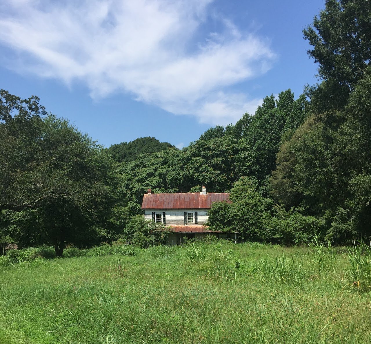 Abandoned house nestled in lush green trees with a grassy field in the foreground.