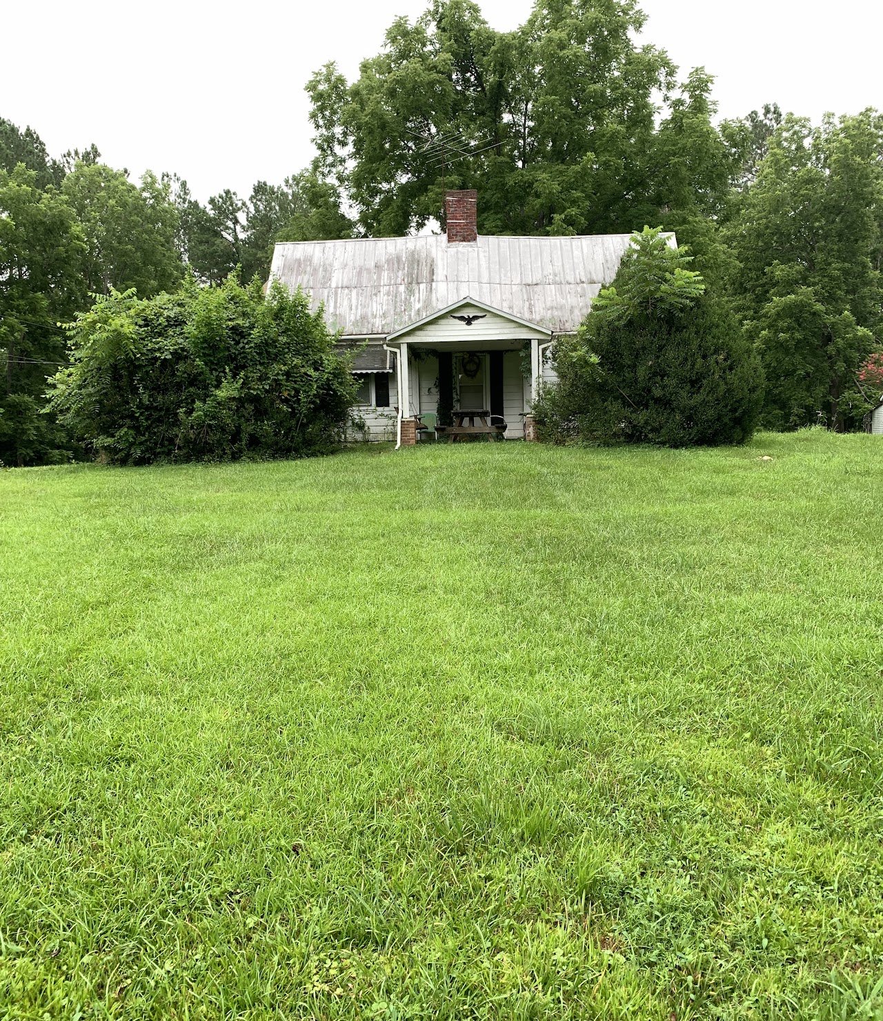 Weathered white house with overgrown yard, surrounded by trees.