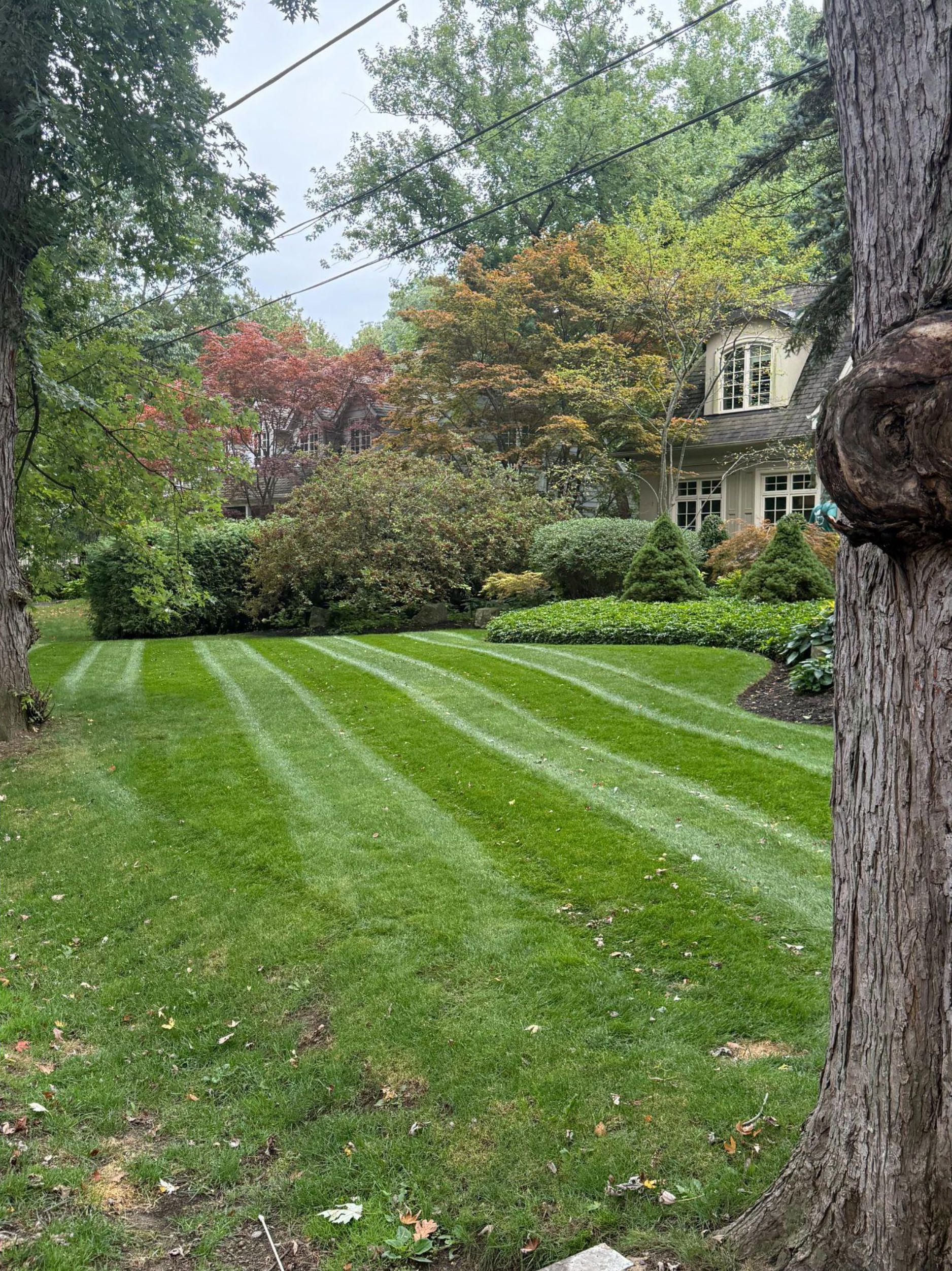 A manicured lawn with prominent stripes, framed by trees and a house in the background on a cloudy day.
