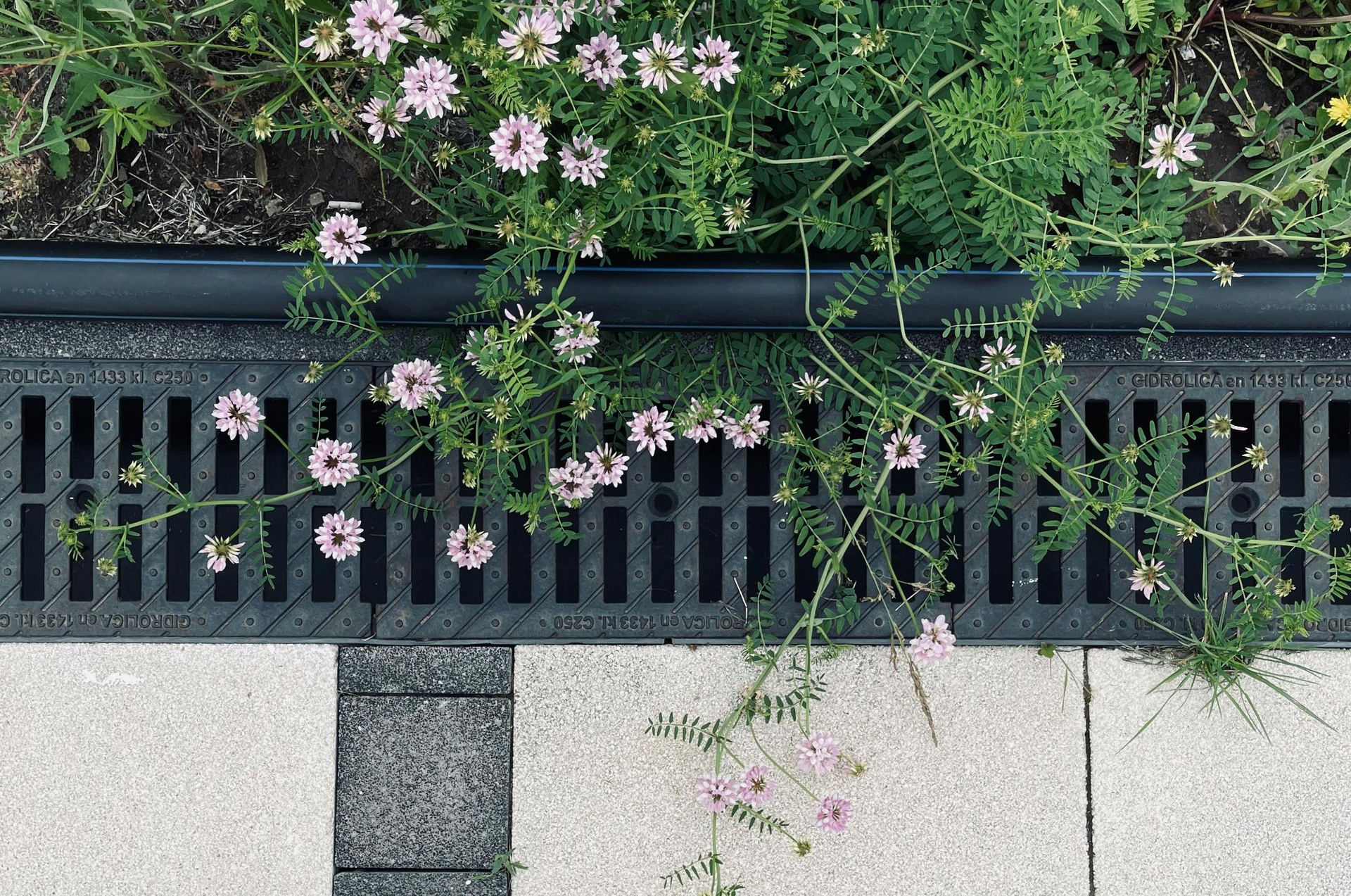 Maldonado Landscaping | Newark, DE | Drainage Systems