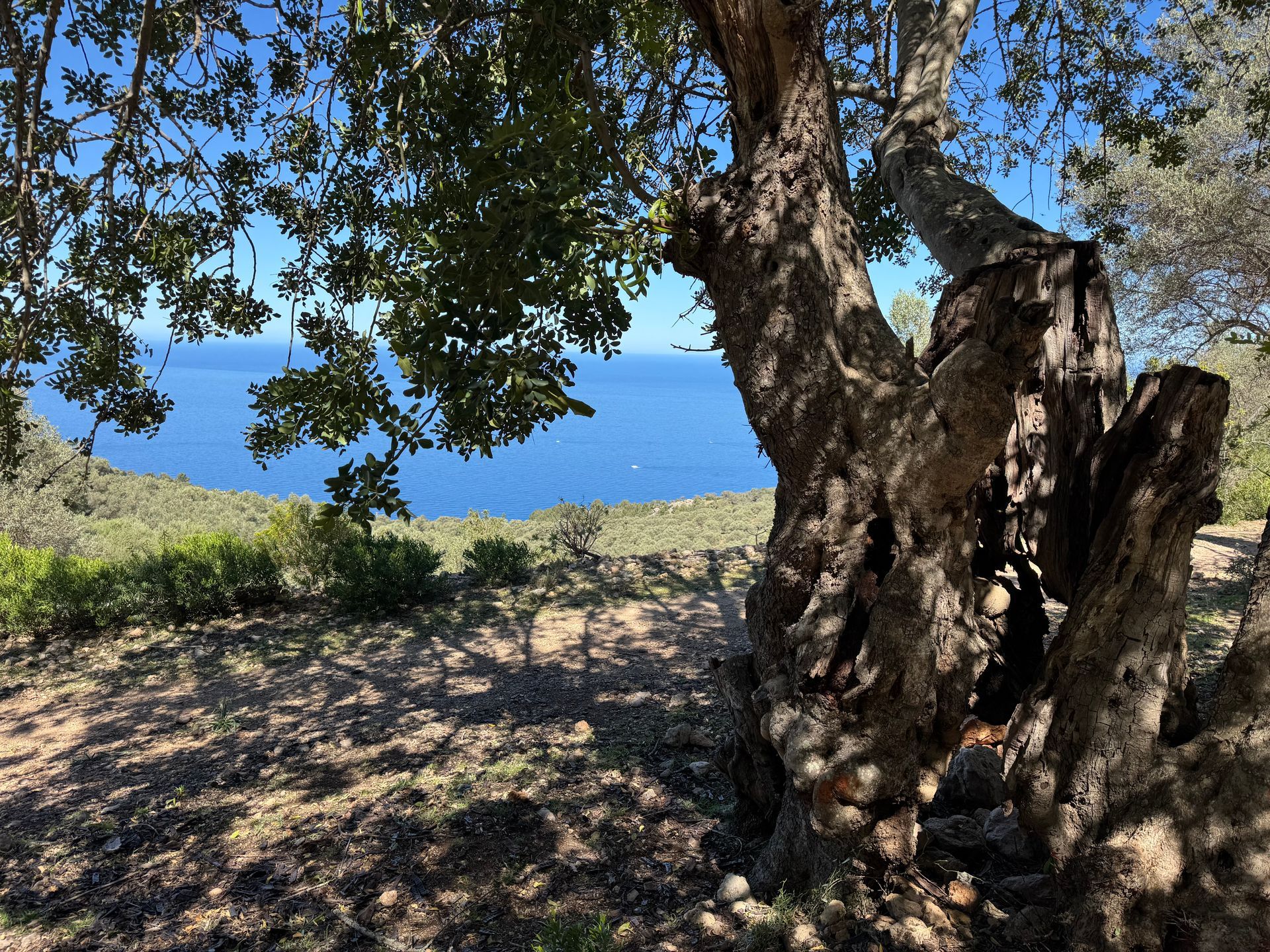 Mallorca setting from above