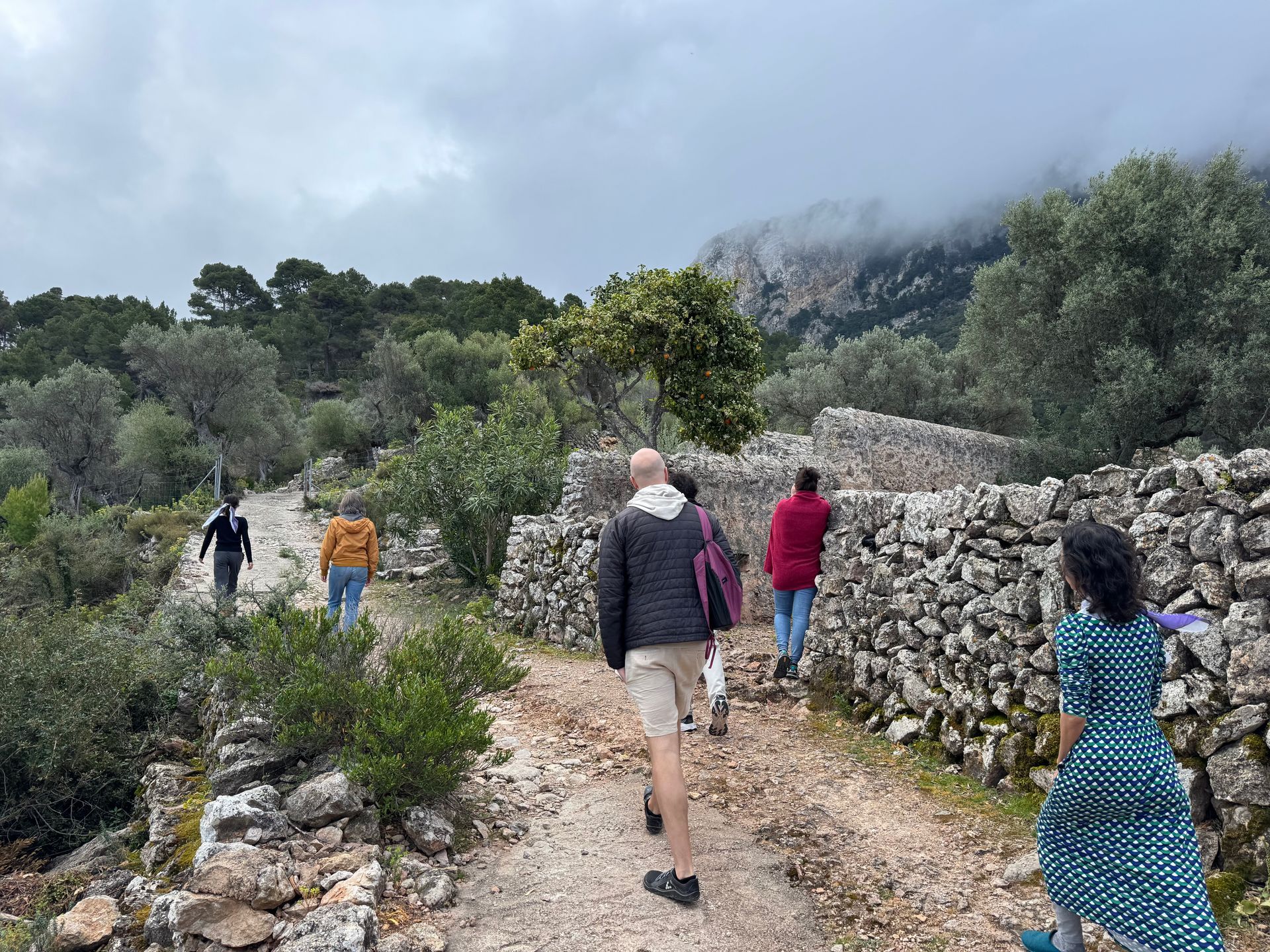 Mallorca mindful walk