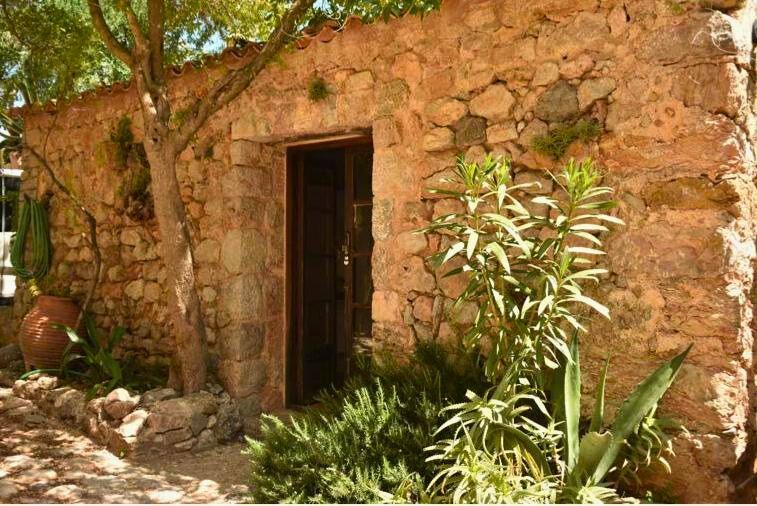 Trauma Healing Retreat - dragonfly retreats