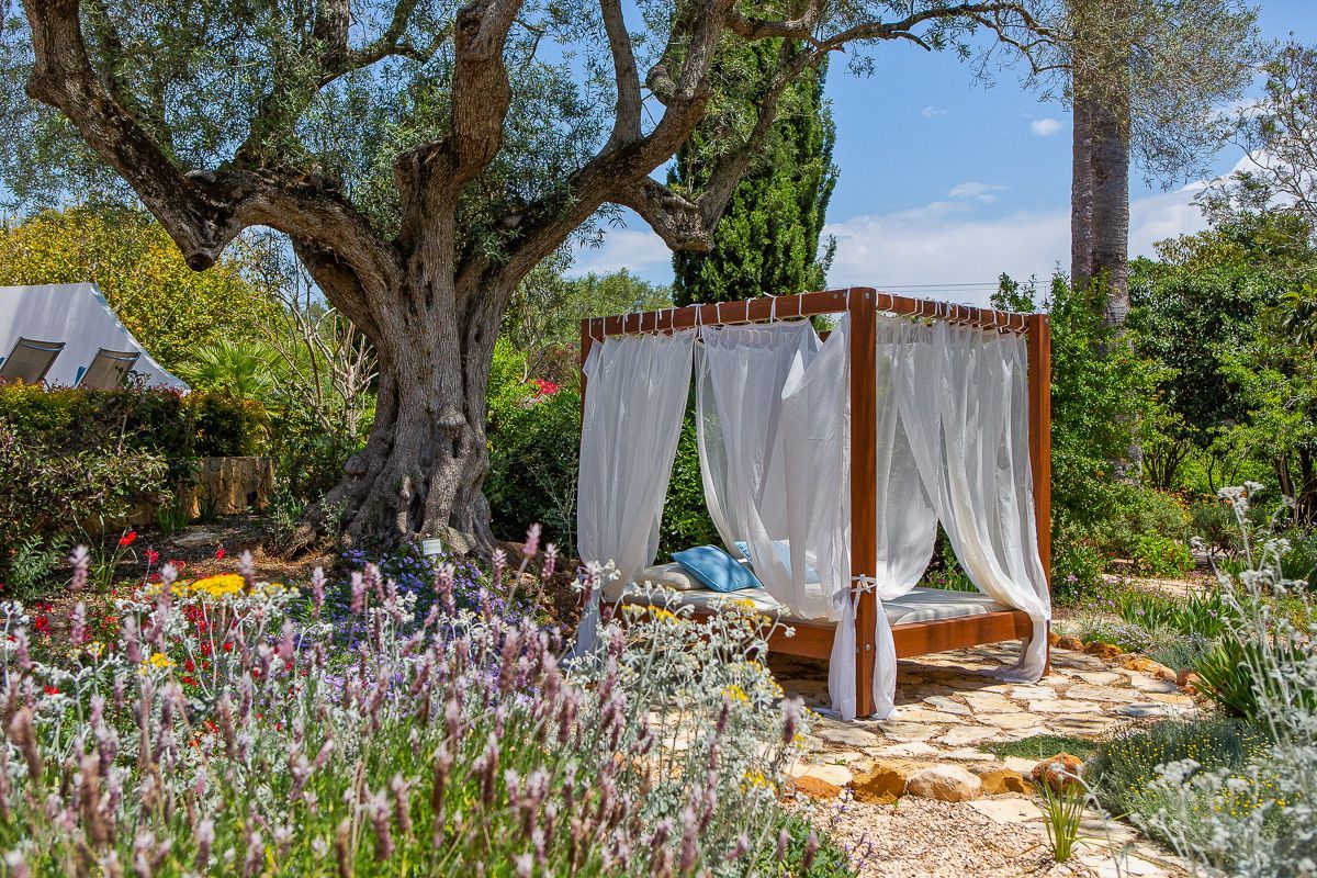 A canopy bed is sitting under a tree in a garden.