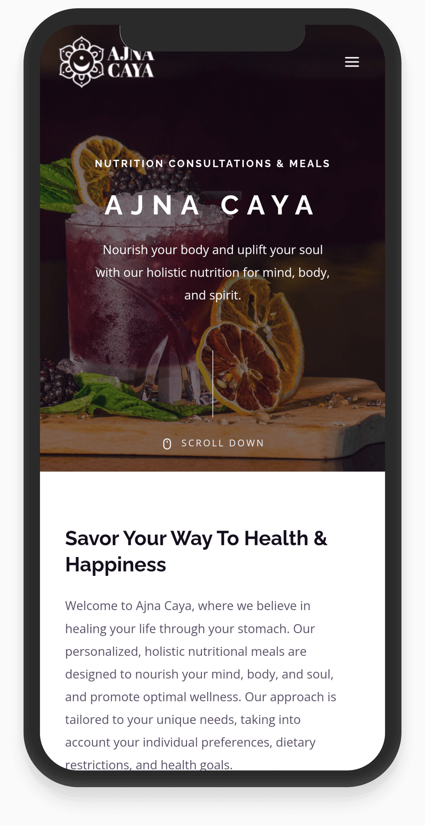 ajna-caya-website-design