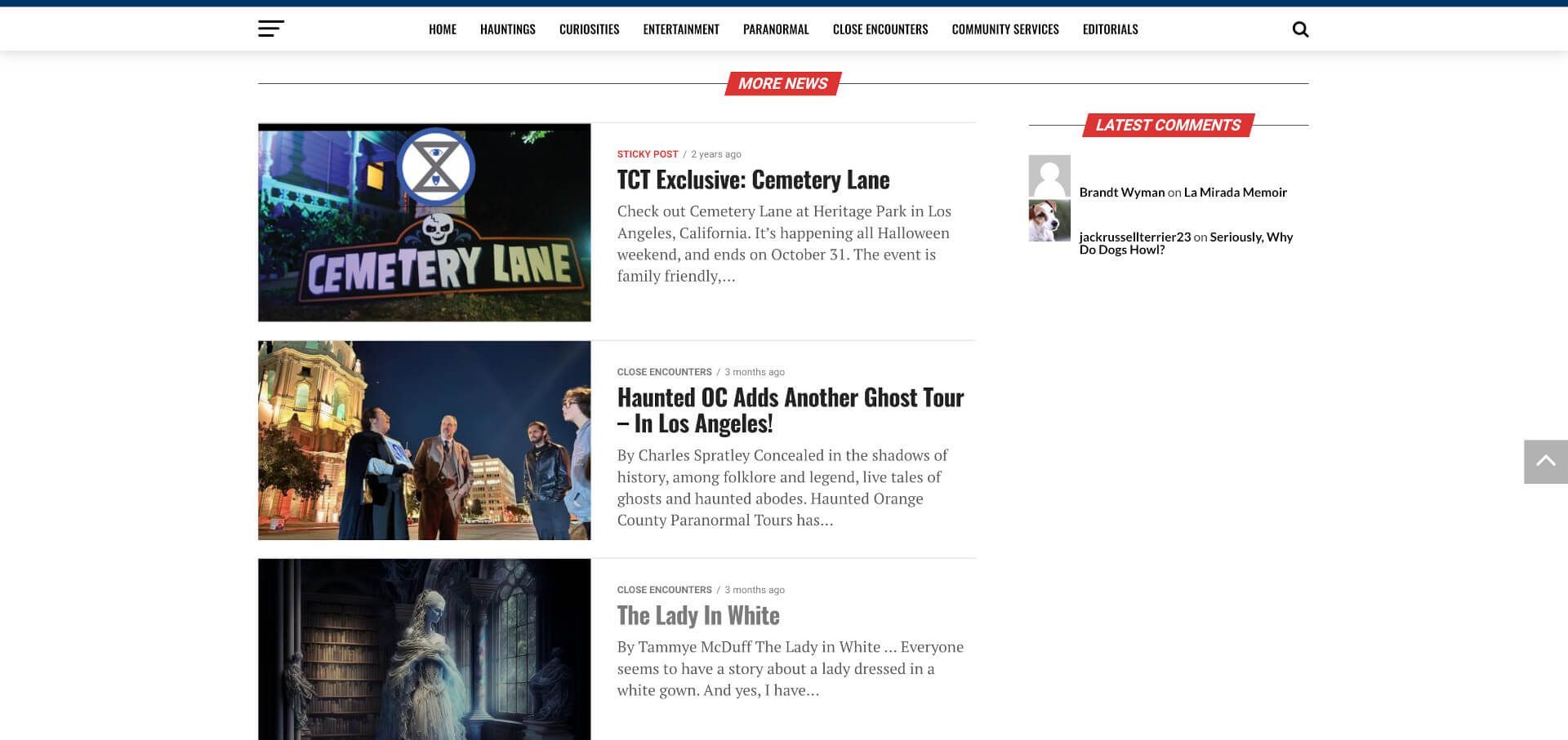 Screenshot of thesecurioustimes.news news article web page