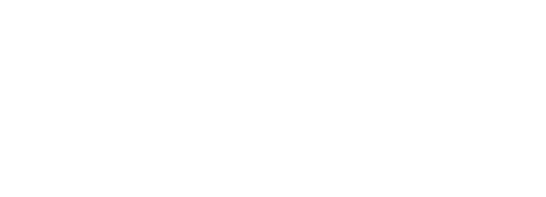 Wild Door Theater logo
