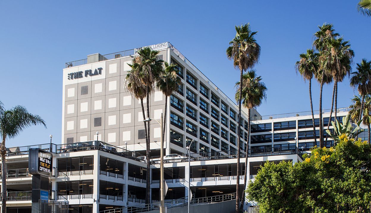 Modern hotel building with palm trees and a clear blue sky