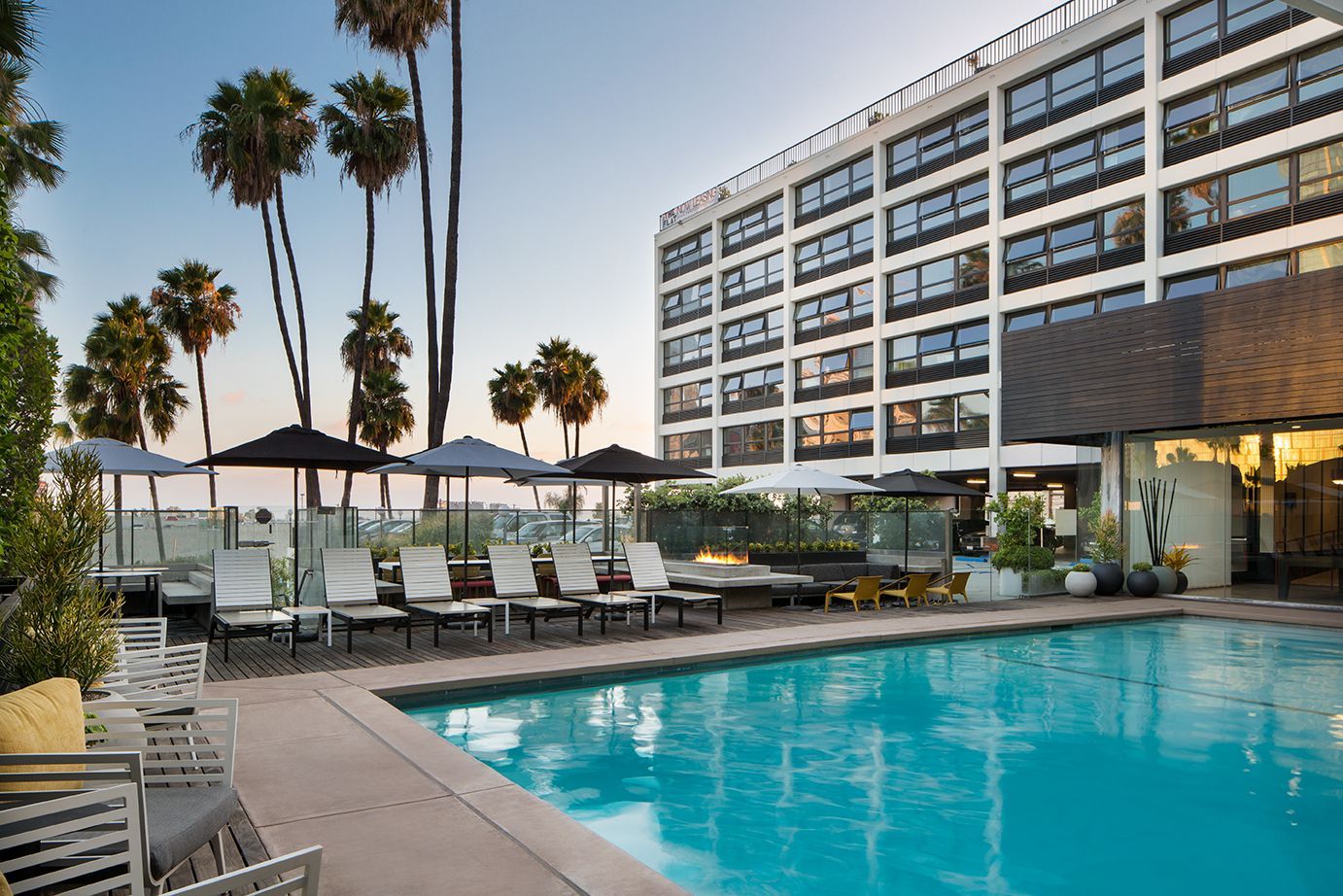 Hotel pool with lounge chairs and tall palm trees beside a modern building at sunset