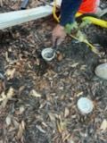 A person is digging in the dirt with a shovel.
