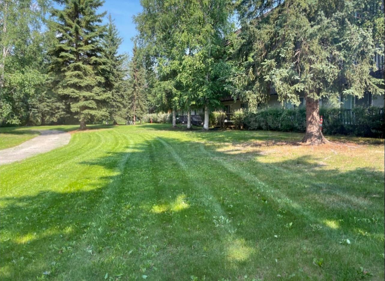 Lawn Maintenance