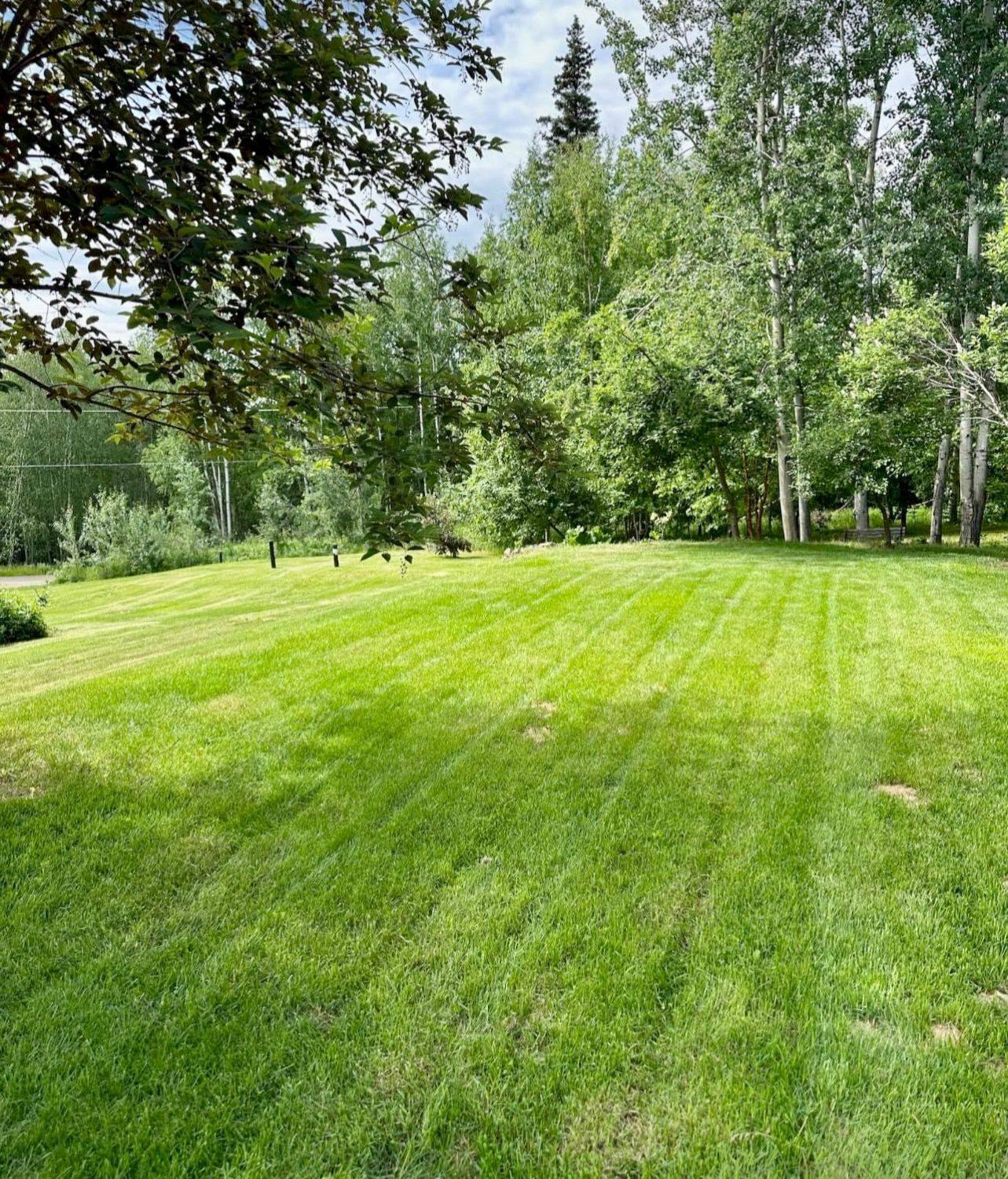 Lawn Care