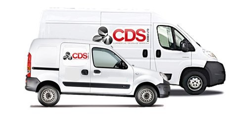 two vans with CDS logo on the side