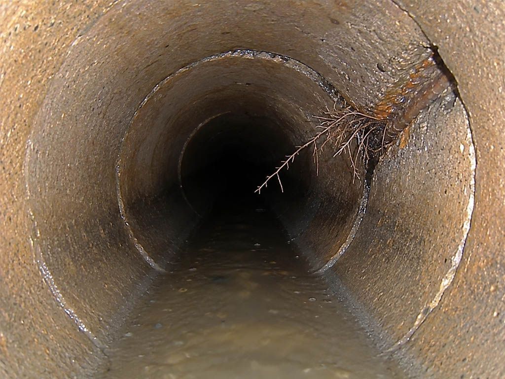 Inside a concrete drainage pipe with dark water pooling at the bottom