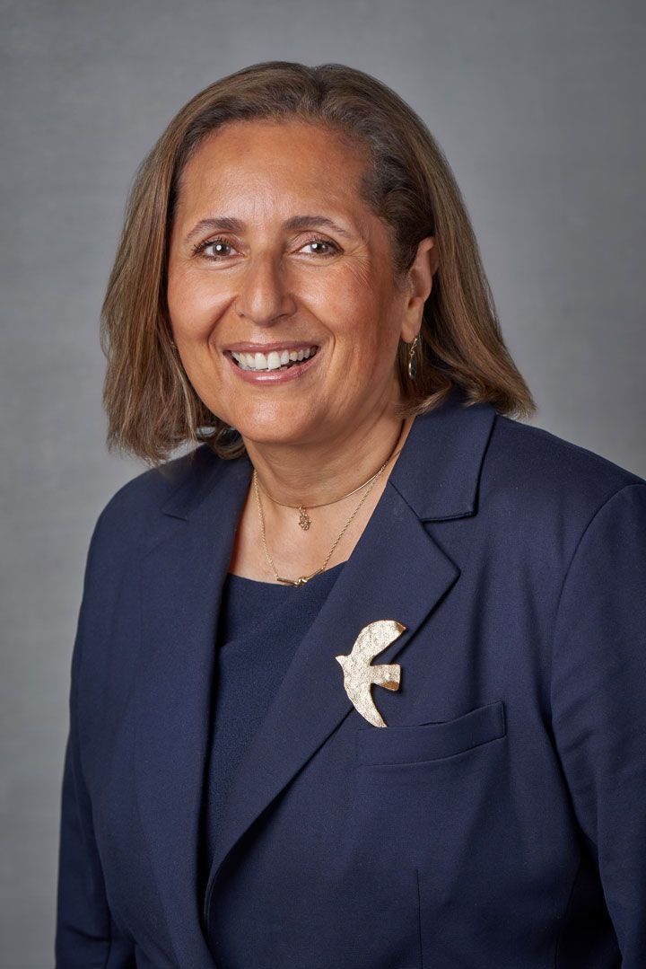 Dina Elnaggar MD, MA, MSc