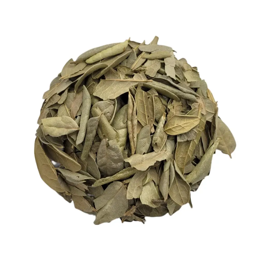 Boldo hojas 100 gr