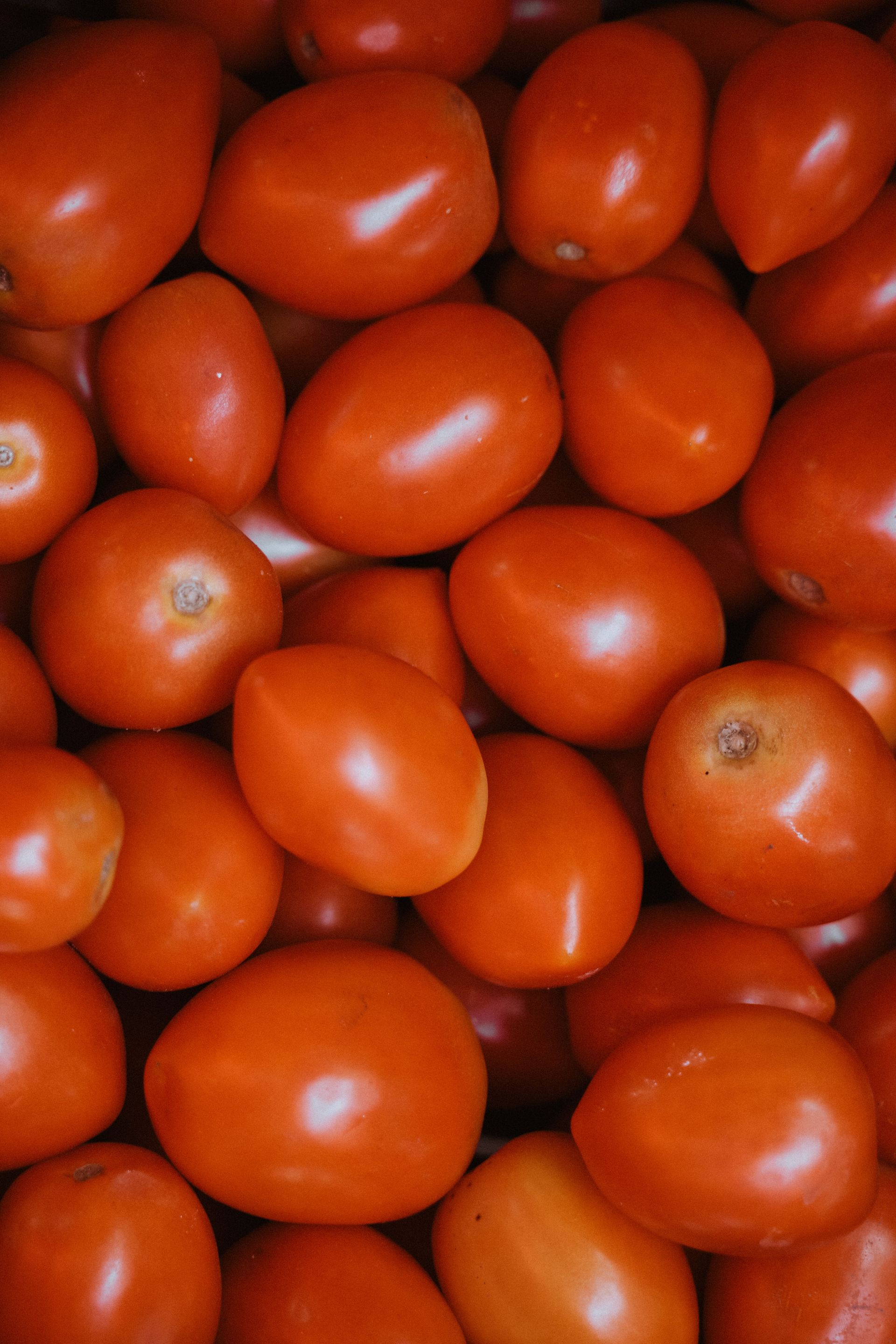 Tomate perita
