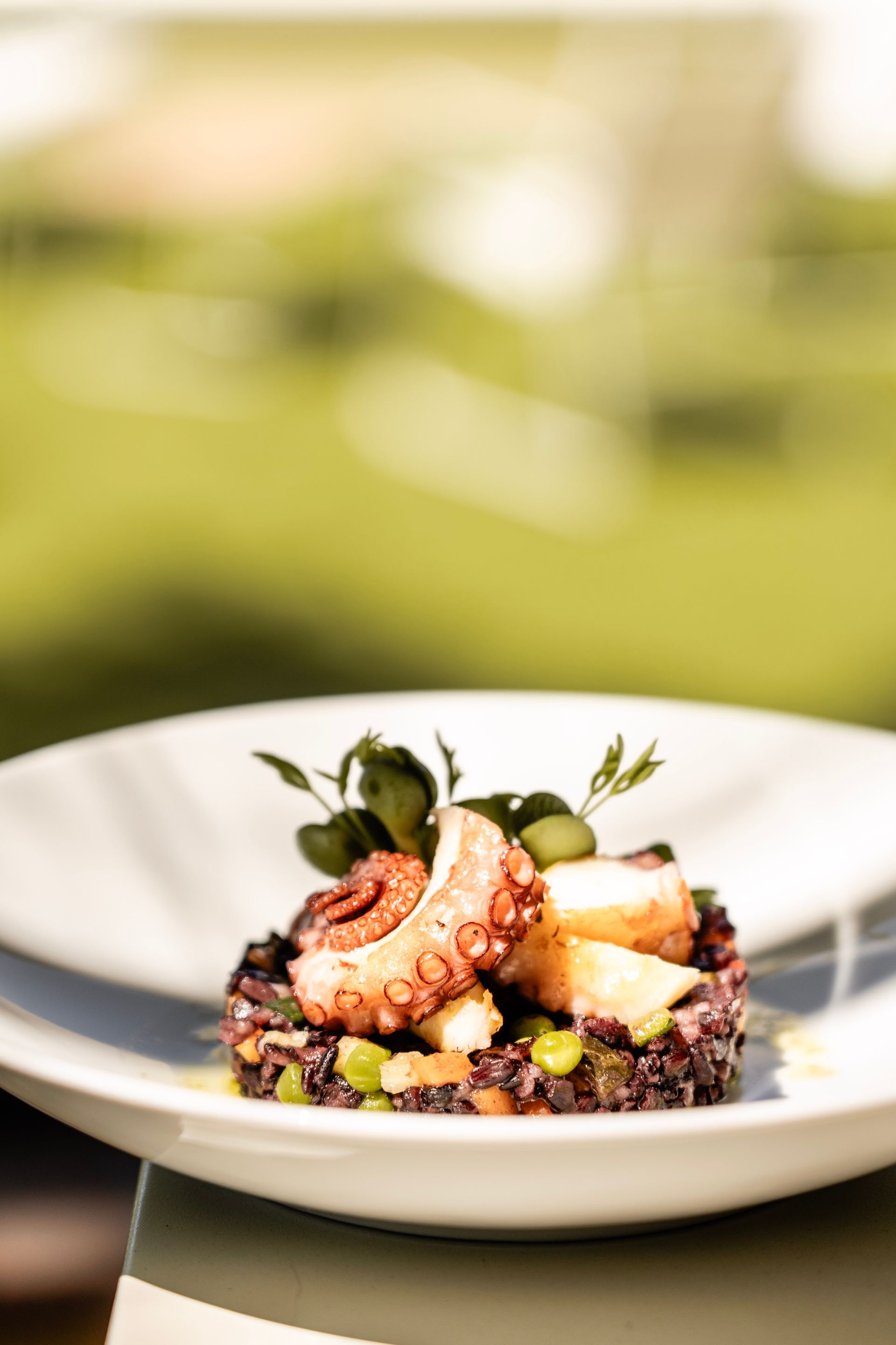 Piatto gourmet impiattato con verdure a foglia verde scuro, erbe aromatiche e salsa su un piatto bianco con guarnizione rosa e verde.